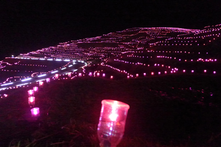 The record for the largest display of solar-powered LEDs consists of 20,461 lights achieved by Wajima City (Japan) at Shiroyone Senmaida in Wajima, Ishikawa, Japan. The record was certified on 14 November as part of the celebrations for Guinness World Records Day 2012.
Shiroyone Senmaida are terraced rice fields in Wajima City. Over 220 volunteers including local Boy Scouts, high school students and joint rice field owners of Shiroyone Senmaida, as well as people from outside the prefecture, planted the solar-powered LEDs in the rice fields. All the LEDs used for the display were 100% solar-powered.